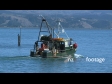 Fishing Boat Commercial 1 578